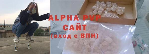 стаф Алексин