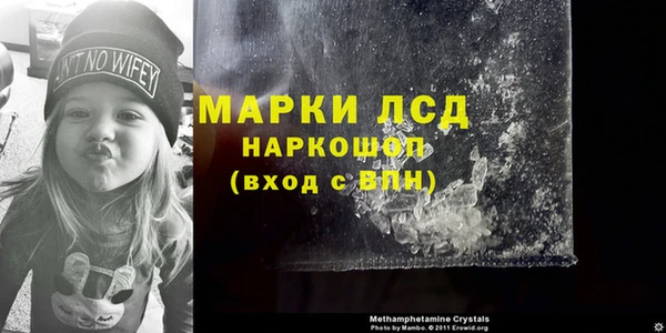 стаф Алексин